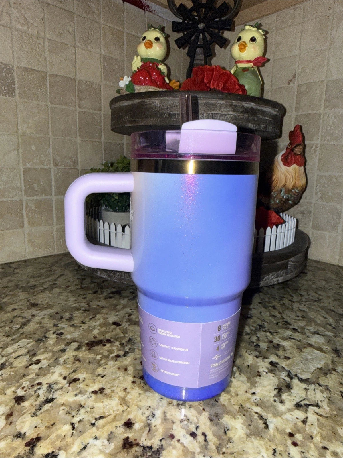 Stanley x Wicked For Good 20oz FlowState Quencher Glinda Tumbler