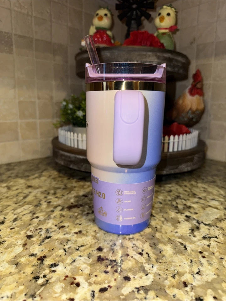 Stanley x Wicked For Good 20oz FlowState Quencher Glinda Tumbler